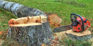 Best Tree Health Inspection  in Fairfield, CA