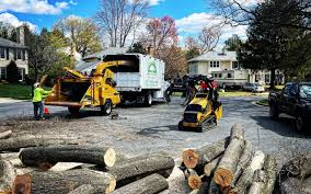Best Lawn Pest Prevention  in Fairfield, CA