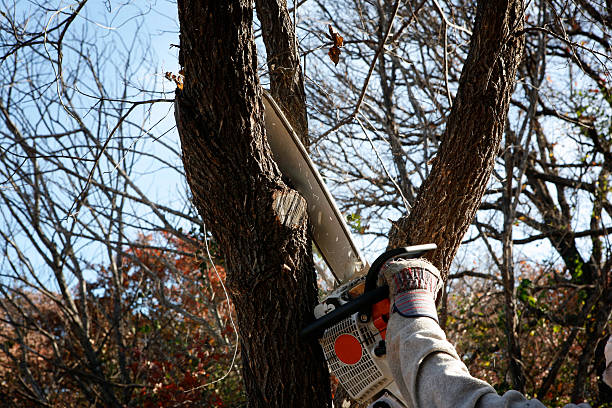 Soil Testing and Treatment in Fairfield, CA