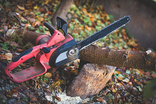 Best Aeration Services  in Fairfield, CA
